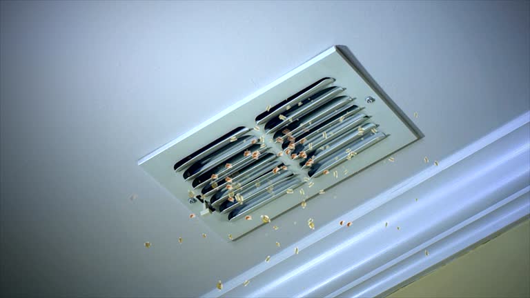 Best Residential Air Duct Cleaning  in , ID