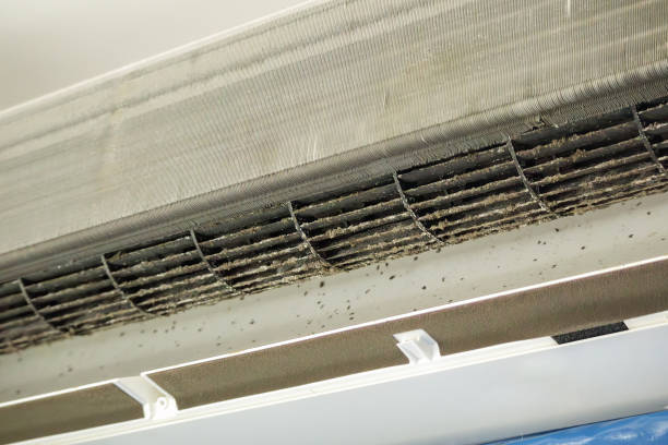 Best Best Air Duct Cleaning Company  in , ID